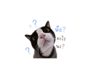852562357
