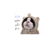 852562359