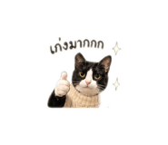 852562386