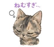 852570074