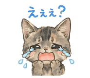 852570076