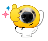 852570699