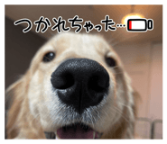 852570700