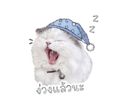 852575763