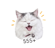 852575769