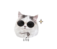 852575775