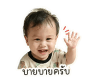 852575805