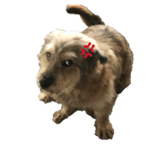 852582018