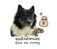 852585388