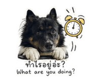 852585389
