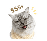 852594939