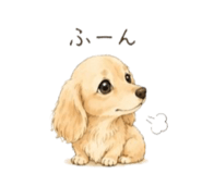 852597488