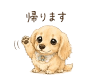 852597504