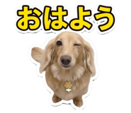 852597777
