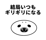 852597936