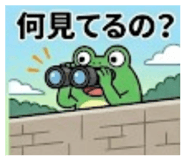 852598127