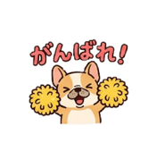 852598432