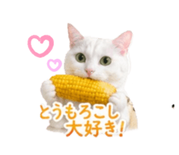 852598566