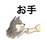 852599343