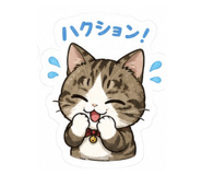 852599415