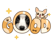 852599576