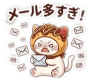 852599955