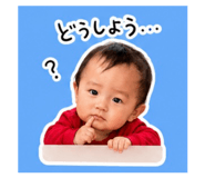 852600377