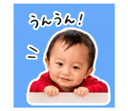 852600381