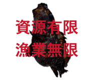 852600392