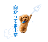 852600518