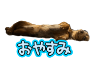 852600605