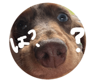 852600616
