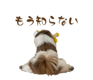 852602439
