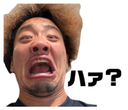 852602517