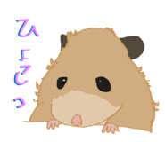 852602676