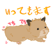 852602677