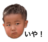 852602699