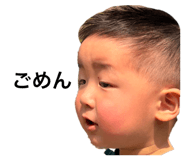 852602704