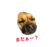 852602875