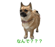 852602879