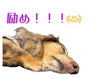 852603087