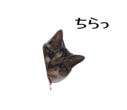 852603315