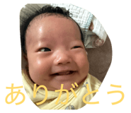 852603541