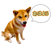 852604114