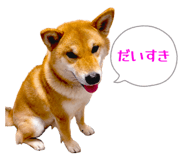 852604115