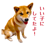 852604131
