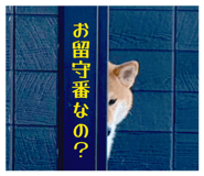 852604132