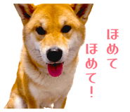 852604134