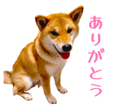 852604135