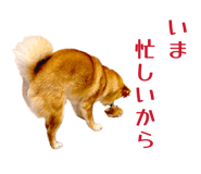 852604137